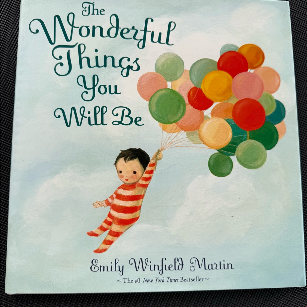 The Wonderful Things You Will Be Book The Wonderful Things You Will Be Book